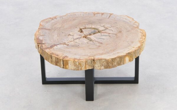Coffee table petrified wood 43241