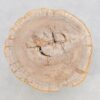 Coffee table petrified wood 43242
