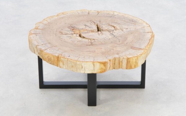 Coffee table petrified wood 43242