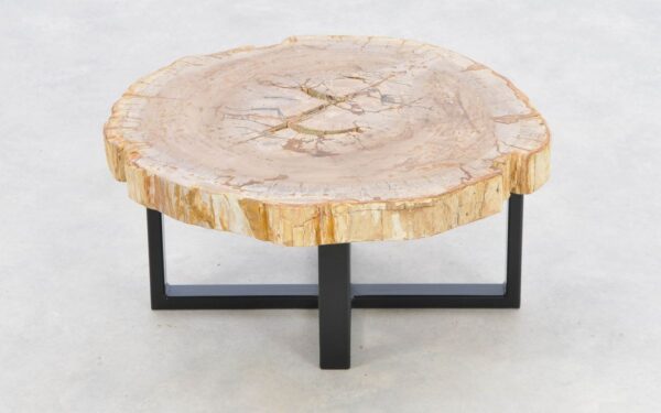 Coffee table petrified wood 43243