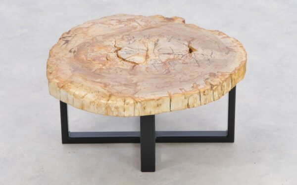 Coffee table petrified wood 43244