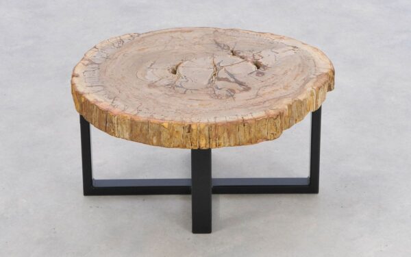 Coffee table petrified wood 43246