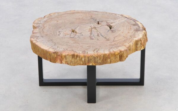 Coffee table petrified wood 43247