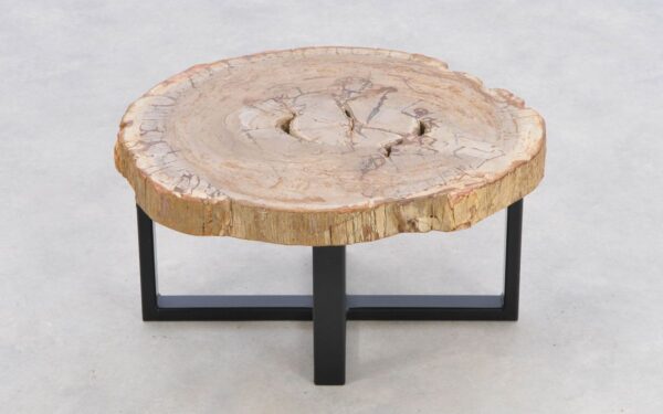 Coffee table petrified wood 43249