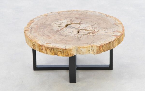 Coffee table petrified wood 43251