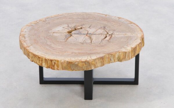 Coffee table petrified wood 43252