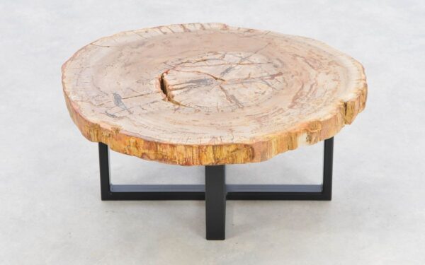 Coffee table petrified wood 43253