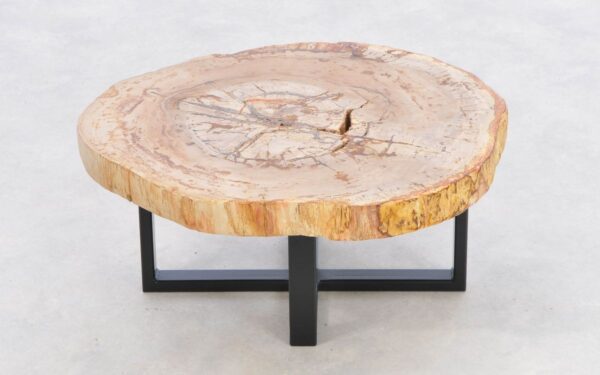 Coffee table petrified wood 43254