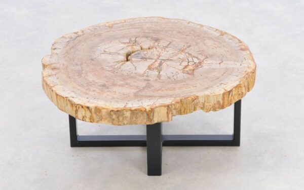 Coffee table petrified wood 43255