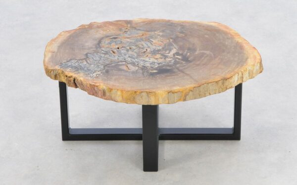 Coffee table petrified wood 43257