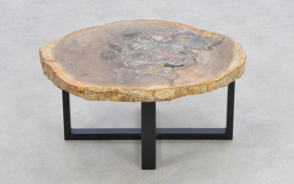 Coffee table petrified wood 43258