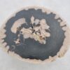 Coffee table petrified wood 43267