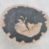 Coffee table petrified wood 43270