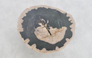 Coffee table petrified wood 43270