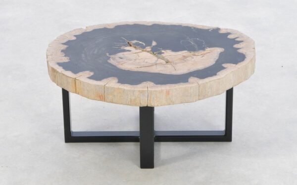 Coffee table petrified wood 43270
