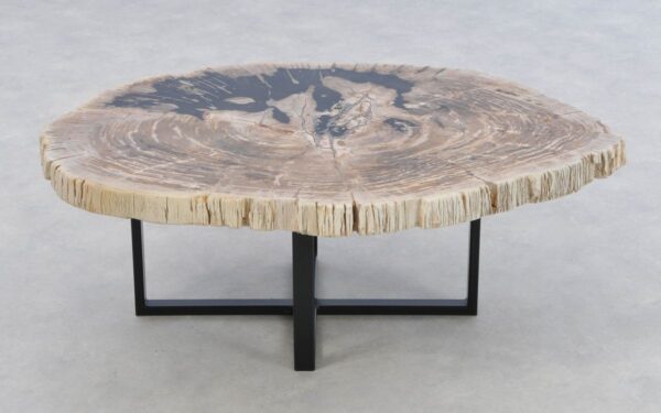 Coffee table petrified wood 43290