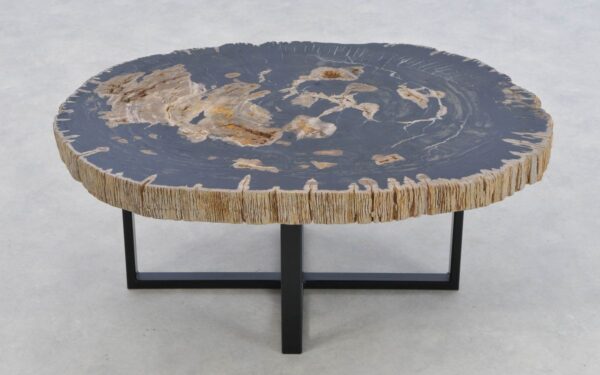 Coffee table petrified wood 43294