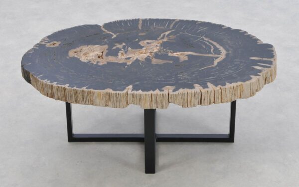Coffee table petrified wood 43300