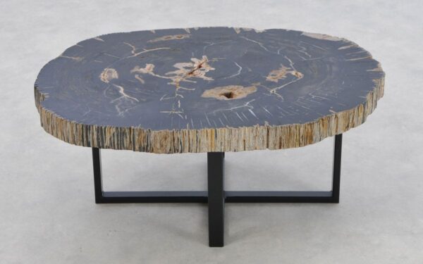 Coffee table petrified wood 43301
