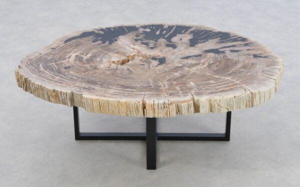 Coffee table petrified wood 43303