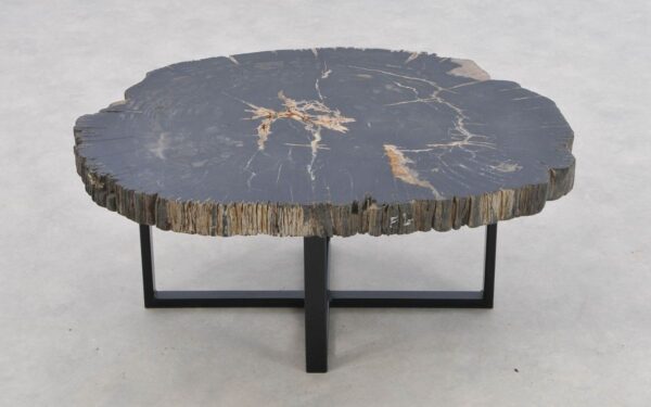 Coffee table petrified wood 43304