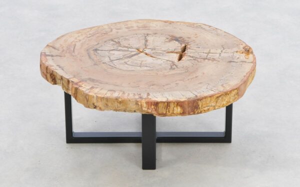 Coffee table petrified wood 43420