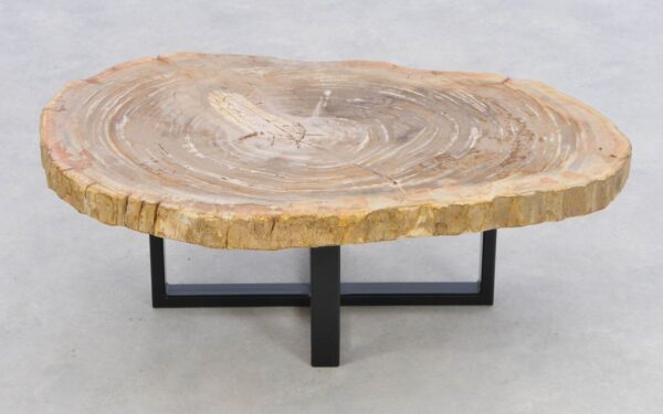 Coffee table petrified wood 43421