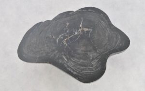 Coffee table petrified wood 43432