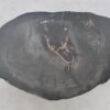 Coffee table petrified wood 43436