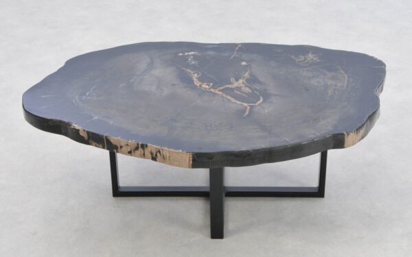 Coffee table petrified wood 43436