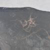 Coffee table petrified wood 43436