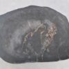 Coffee table petrified wood 43438