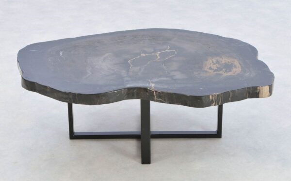 Coffee table petrified wood 43439