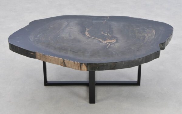 Coffee table petrified wood 43441