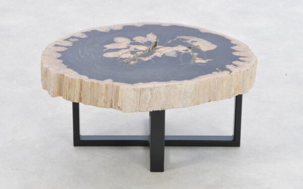 Coffee table petrified wood 43446