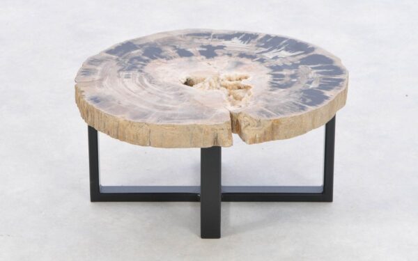 Coffee table petrified wood 43447