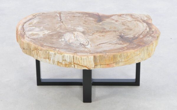 Coffee table petrified wood 43456