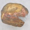 Couchtisch versteinertes Holz 43181