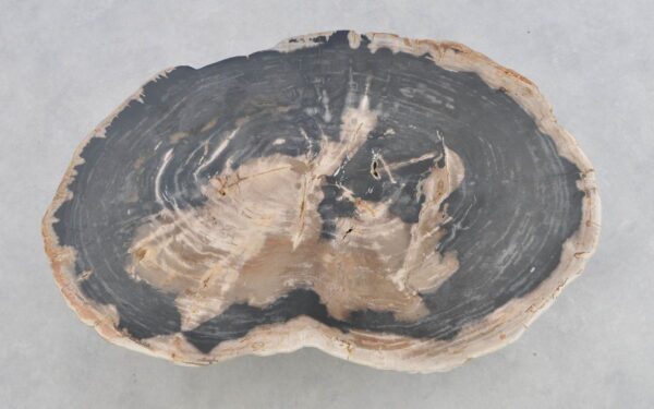 Couchtisch versteinertes Holz 43194