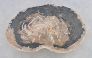 Couchtisch versteinertes Holz 43201