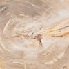 Couchtisch versteinertes Holz 43204