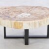 Couchtisch versteinertes Holz 43226