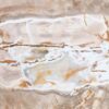 Couchtisch versteinertes Holz 43226
