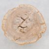 Couchtisch versteinertes Holz 43243