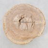 Couchtisch versteinertes Holz 43252