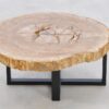 Couchtisch versteinertes Holz 43252