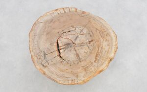 Couchtisch versteinertes Holz 43253