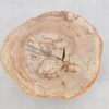 Couchtisch versteinertes Holz 43254
