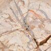 Couchtisch versteinertes Holz 43254