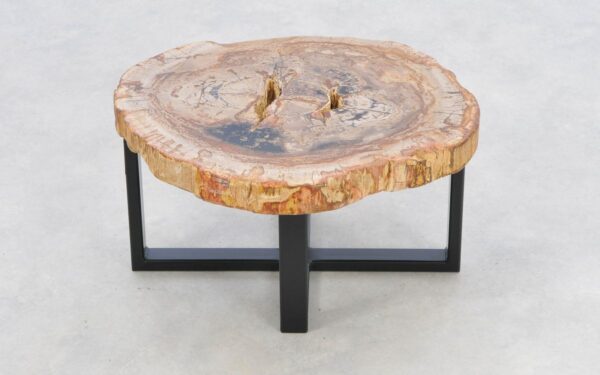 Couchtisch versteinertes Holz 43256